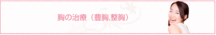 胸の治療(豊胸,整胸)