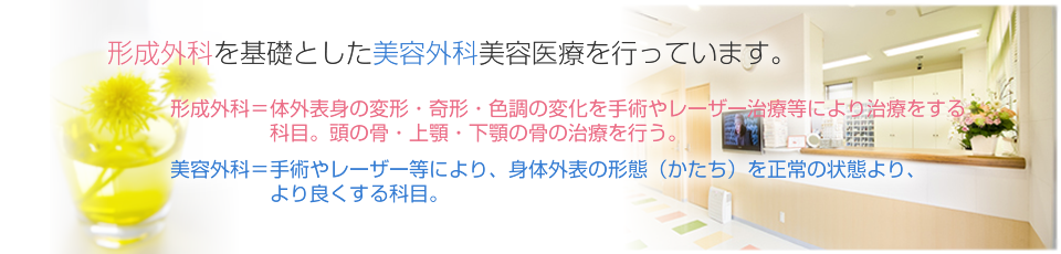 形成外科を基礎とした美容外科美容医療を行っています。