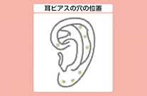 耳ピアスの穴の位置。